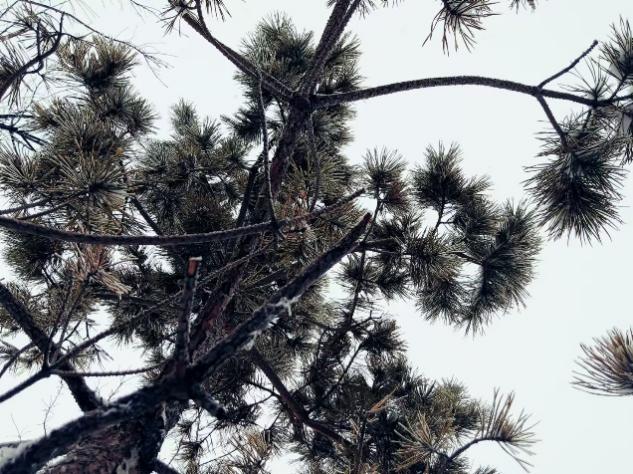 mg冰球突破(中国)官方网站