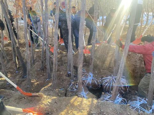 冬日植树正其时 携手共建绿校园——mg冰球突破乐成开展多部分联合冬日植树活动