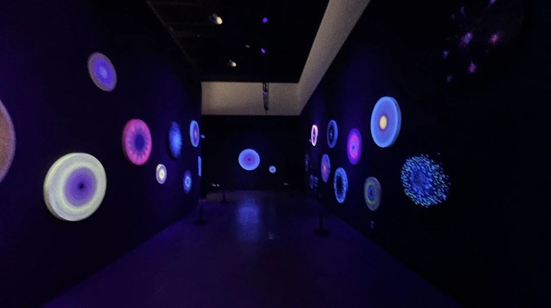 mg冰球突破(中国)官方网站