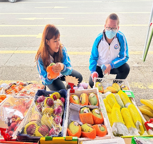 mg冰球突破(中国)官方网站