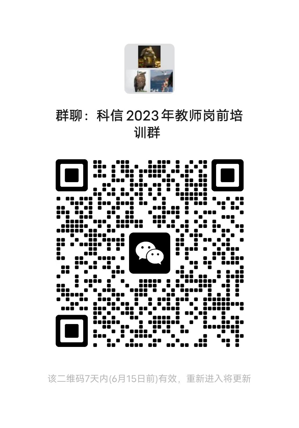 mg冰球突破(中国)官方网站