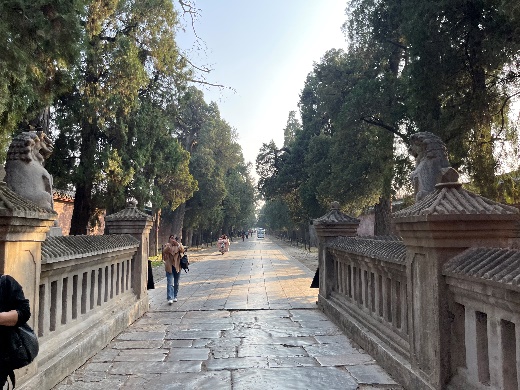 mg冰球突破(中国)官方网站