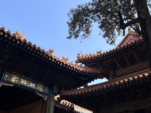 mg冰球突破(中国)官方网站