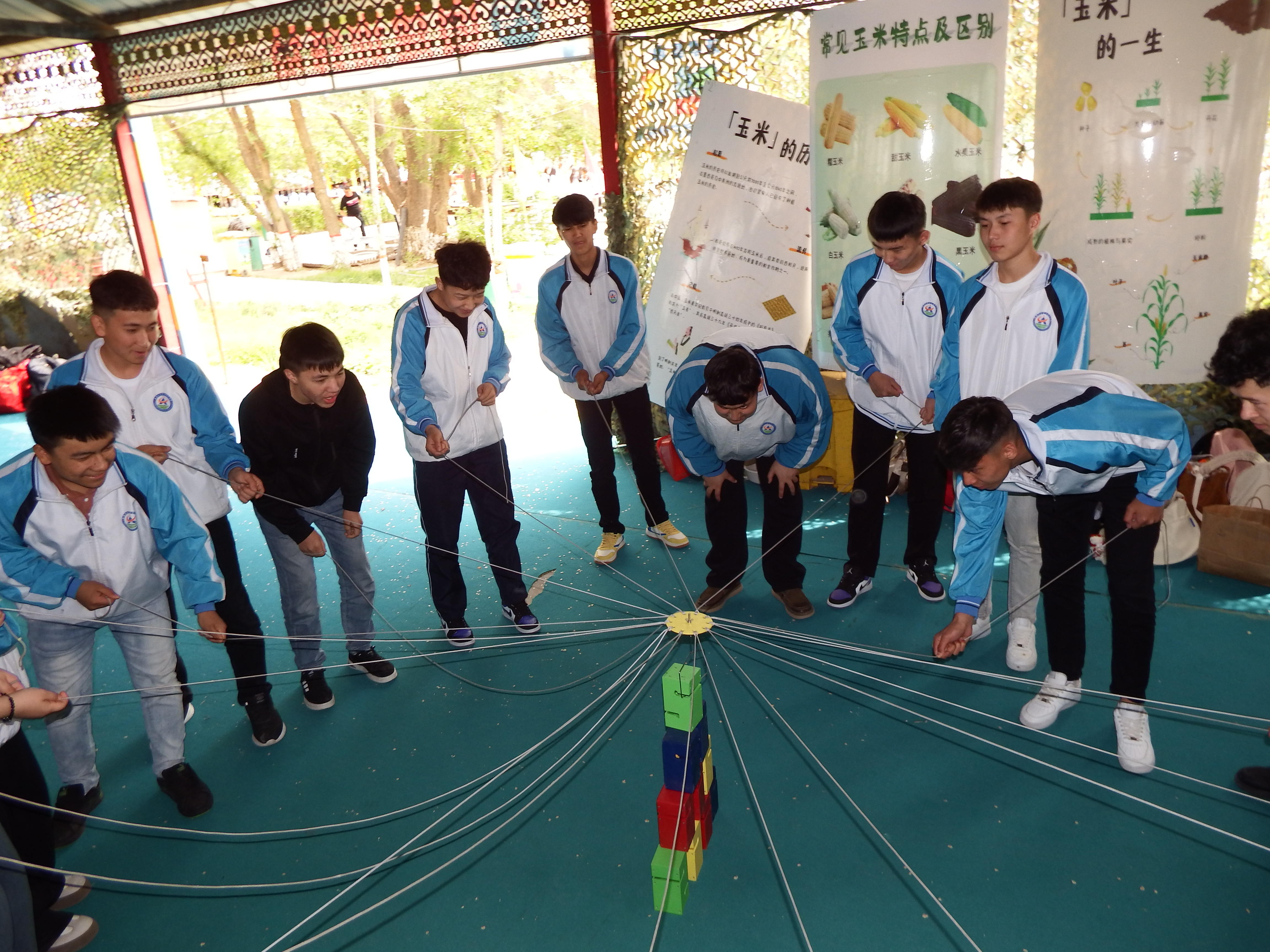 mg冰球突破(中国)官方网站