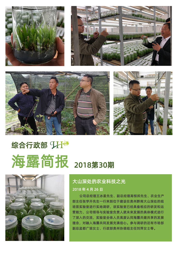 首页-PA集团有限公司官网入口