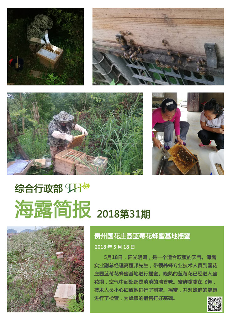 首页-PA集团有限公司官网入口