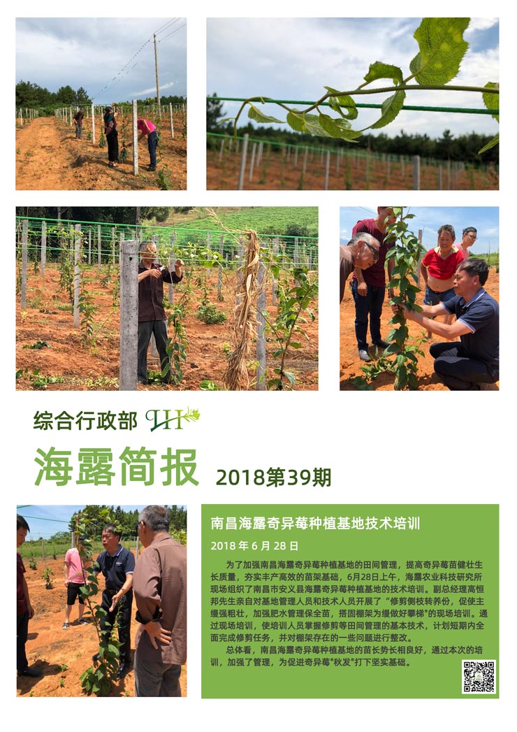 首页-PA集团有限公司官网入口