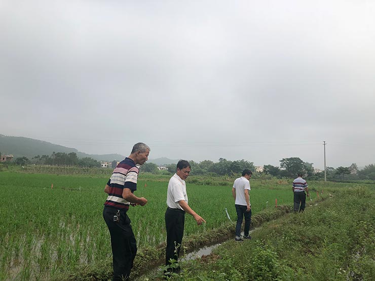 首页-PA集团有限公司官网入口