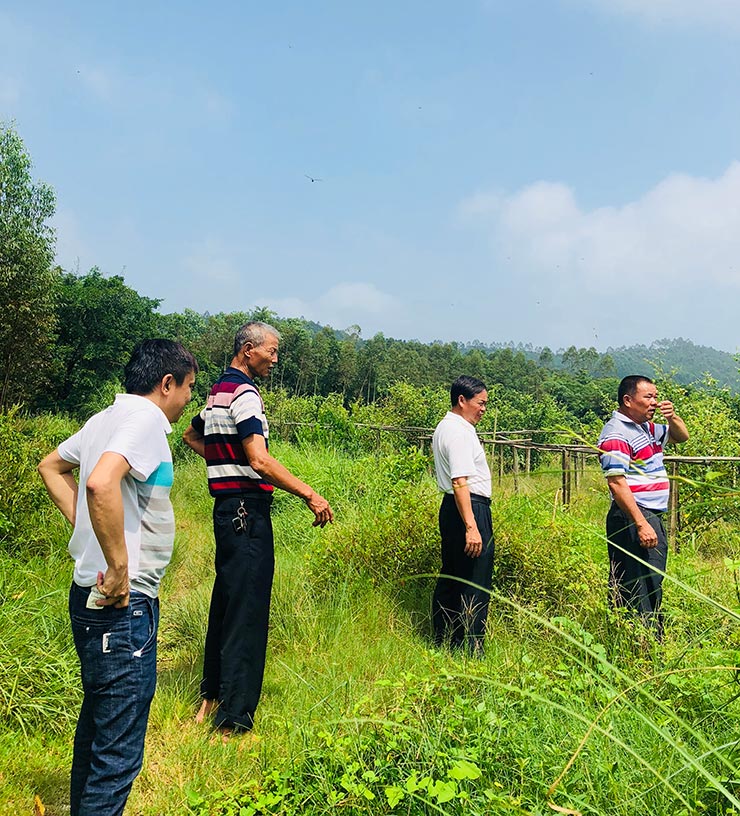 首页-PA集团有限公司官网入口
