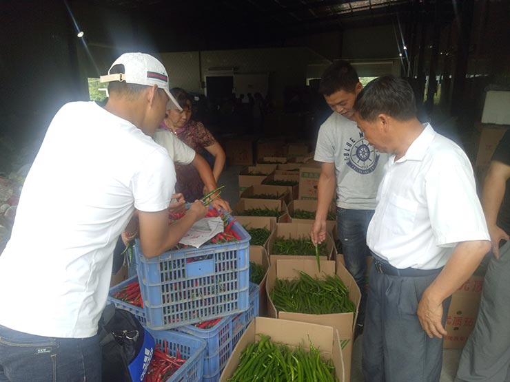 首页-PA集团有限公司官网入口