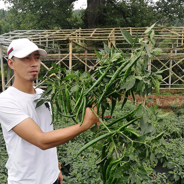 首页-PA集团有限公司官网入口