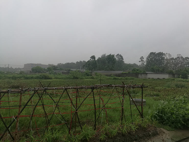 首页-PA集团有限公司官网入口