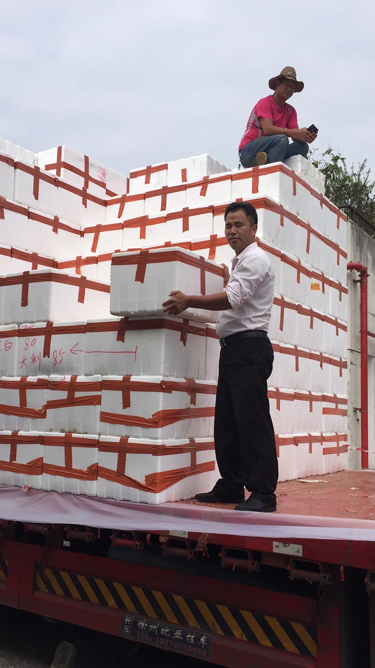 首页-PA集团有限公司官网入口