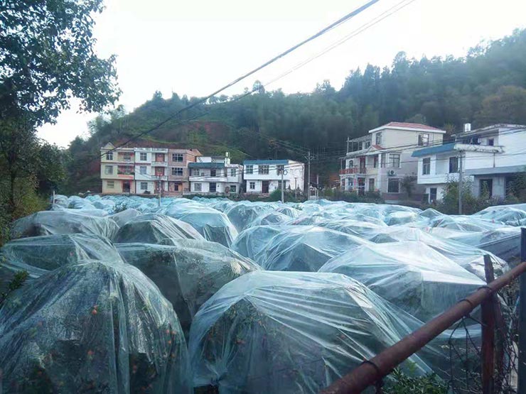 首页-PA集团有限公司官网入口