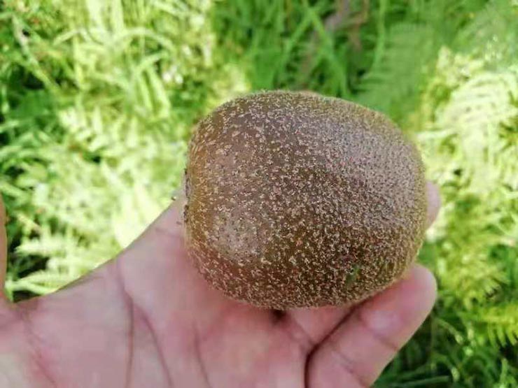 首页-PA集团有限公司官网入口