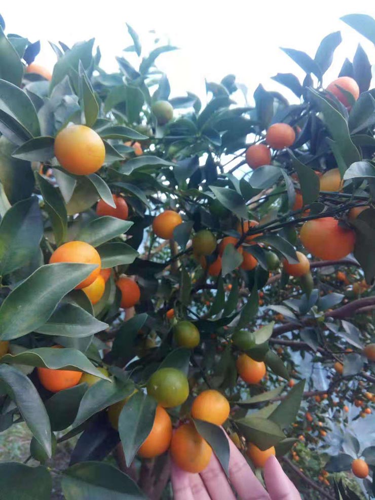 首页-PA集团有限公司官网入口