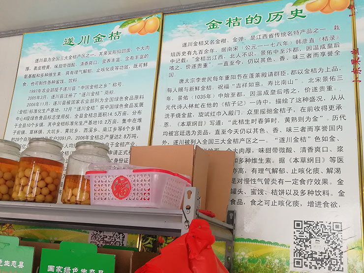 首页-PA集团有限公司官网入口