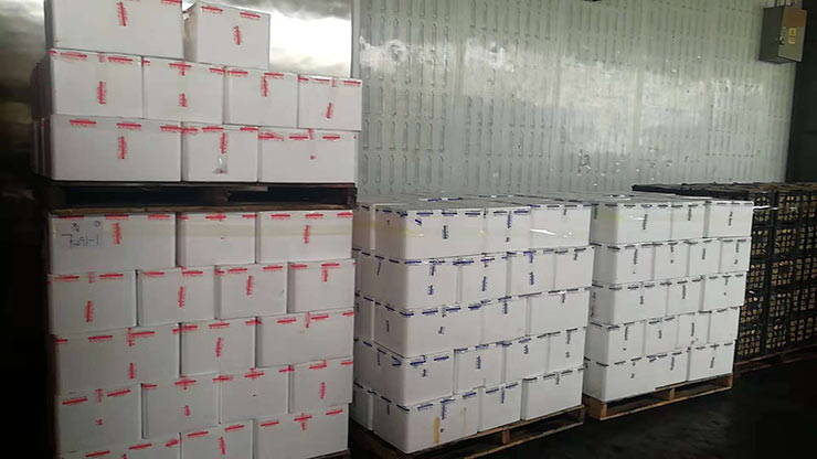 首页-PA集团有限公司官网入口