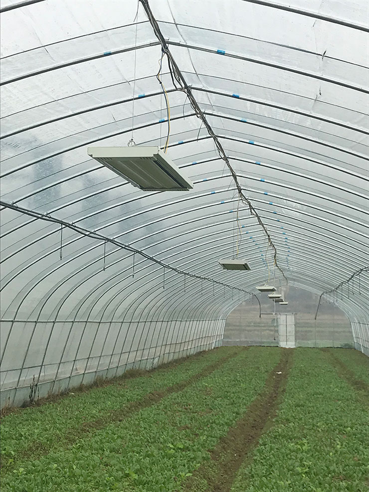 首页-PA集团有限公司官网入口