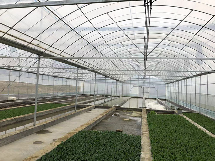 首页-PA集团有限公司官网入口