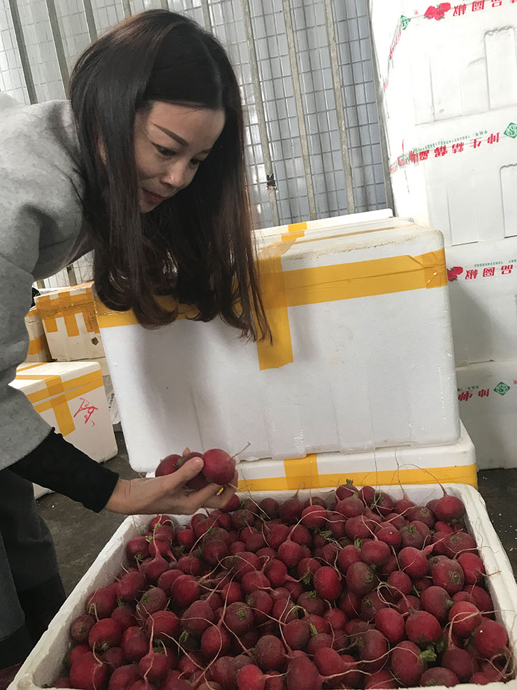 首页-PA集团有限公司官网入口