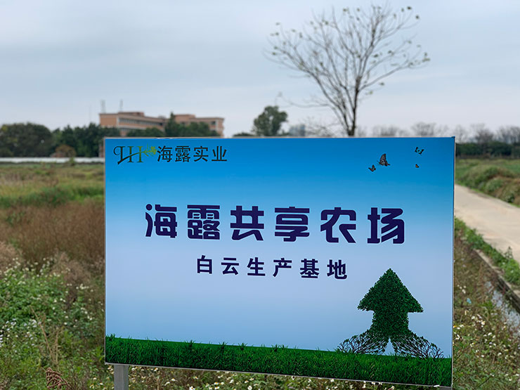 首页-PA集团有限公司官网入口