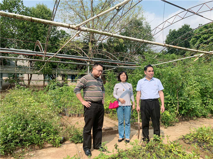 首页-PA集团有限公司官网入口