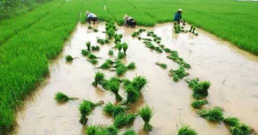 首页-PA集团有限公司官网入口