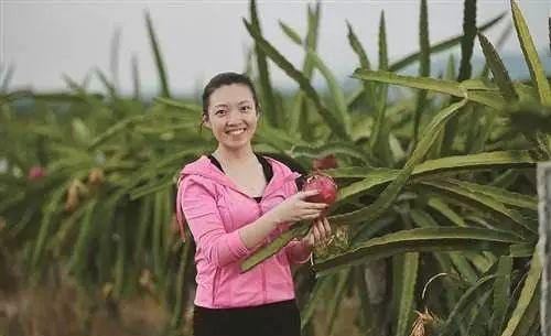 首页-PA集团有限公司官网入口