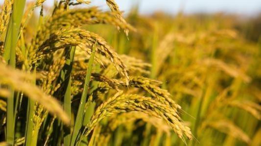 首页-PA集团有限公司官网入口