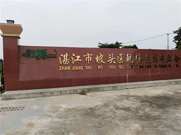 首页-PA集团有限公司官网入口