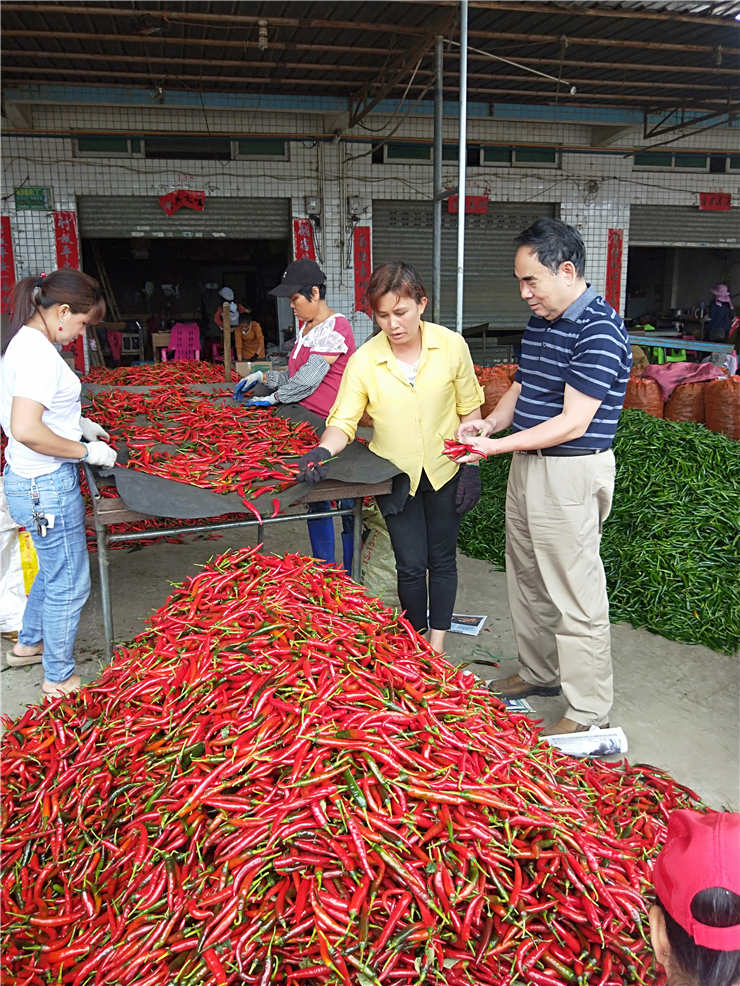首页-PA集团有限公司官网入口