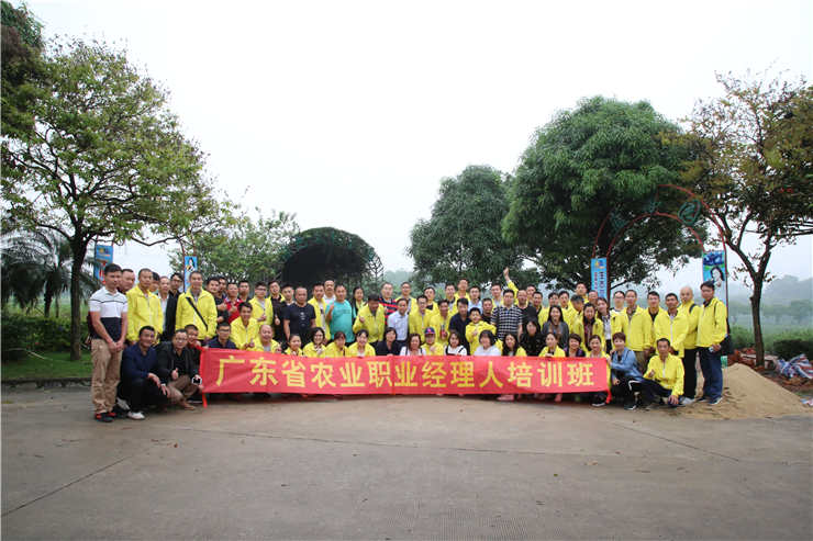 首页-PA集团有限公司官网入口