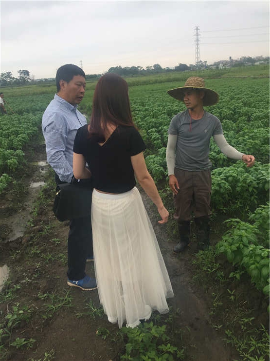 首页-PA集团有限公司官网入口