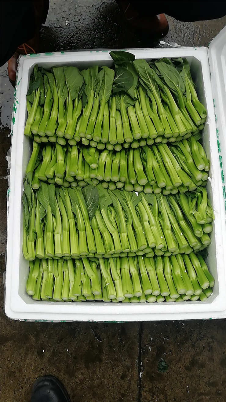 首页-PA集团有限公司官网入口