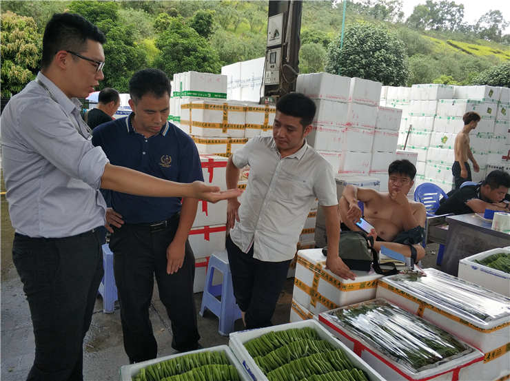 首页-PA集团有限公司官网入口