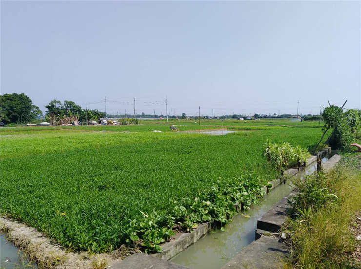 首页-PA集团有限公司官网入口