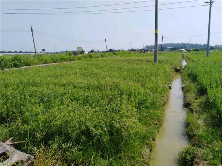 首页-PA集团有限公司官网入口