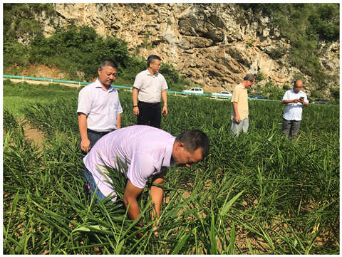 首页-PA集团有限公司官网入口