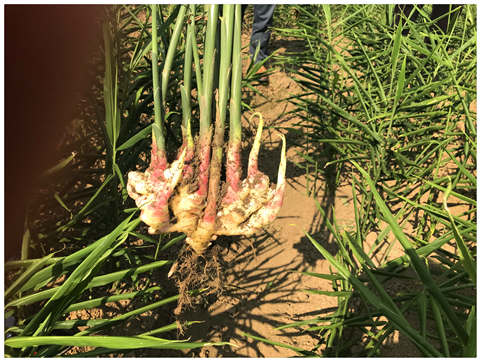 首页-PA集团有限公司官网入口