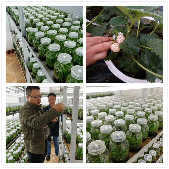 首页-PA集团有限公司官网入口