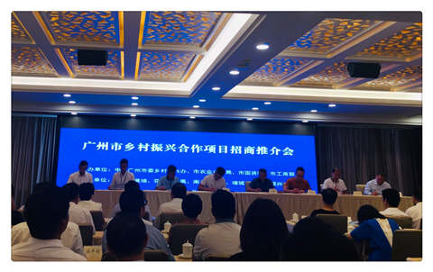 首页-PA集团有限公司官网入口