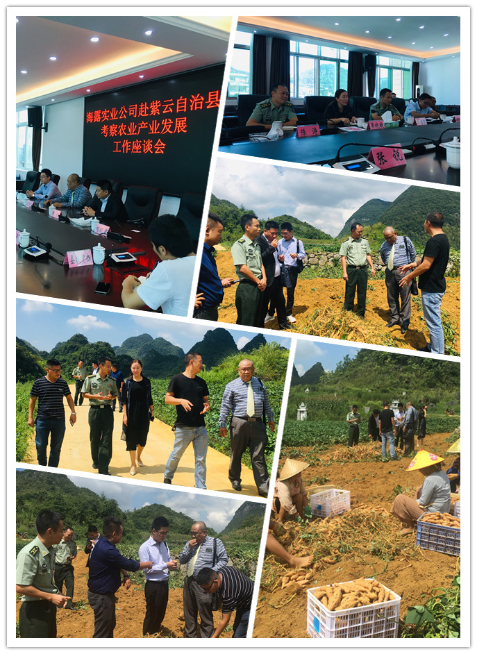 首页-PA集团有限公司官网入口