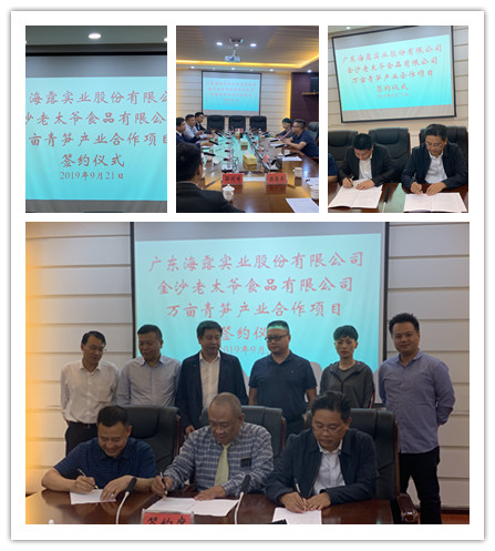 首页-PA集团有限公司官网入口