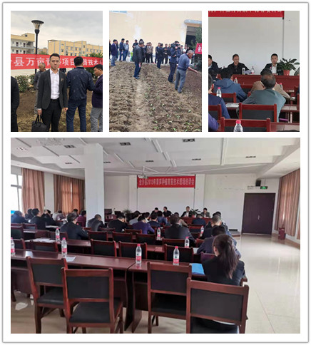 首页-PA集团有限公司官网入口