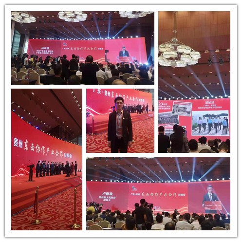 首页-PA集团有限公司官网入口