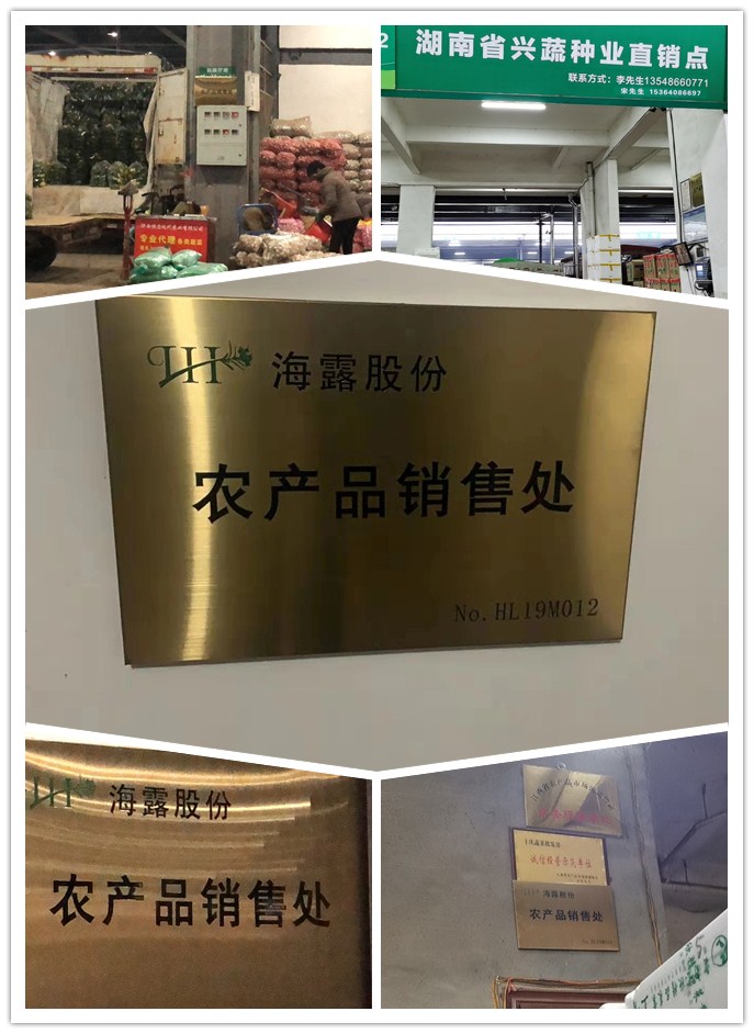 首页-PA集团有限公司官网入口