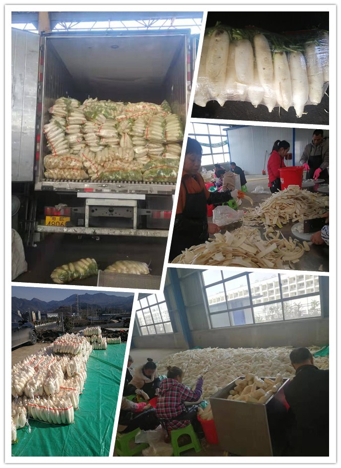 首页-PA集团有限公司官网入口