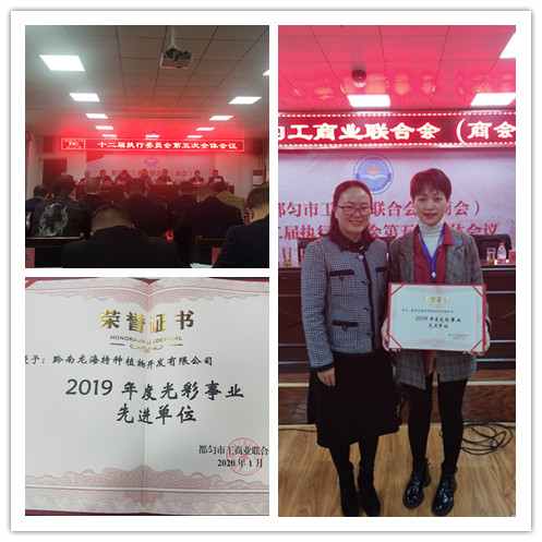 首页-PA集团有限公司官网入口