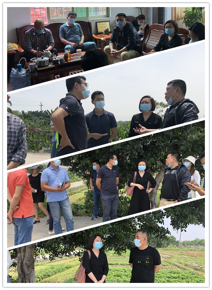 首页-PA集团有限公司官网入口